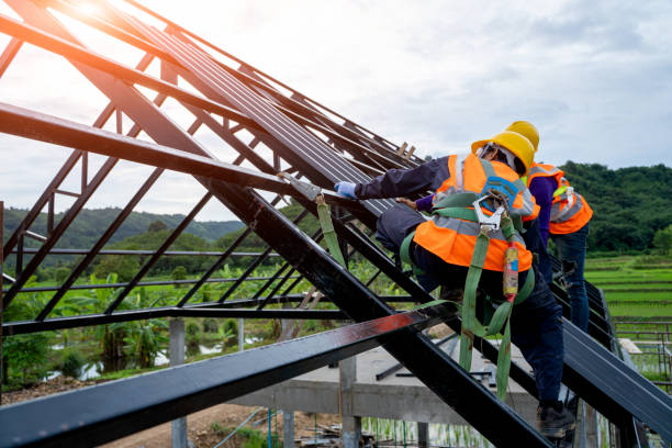 Best Roof Gutter Cleaning  in North Royalton, OH
